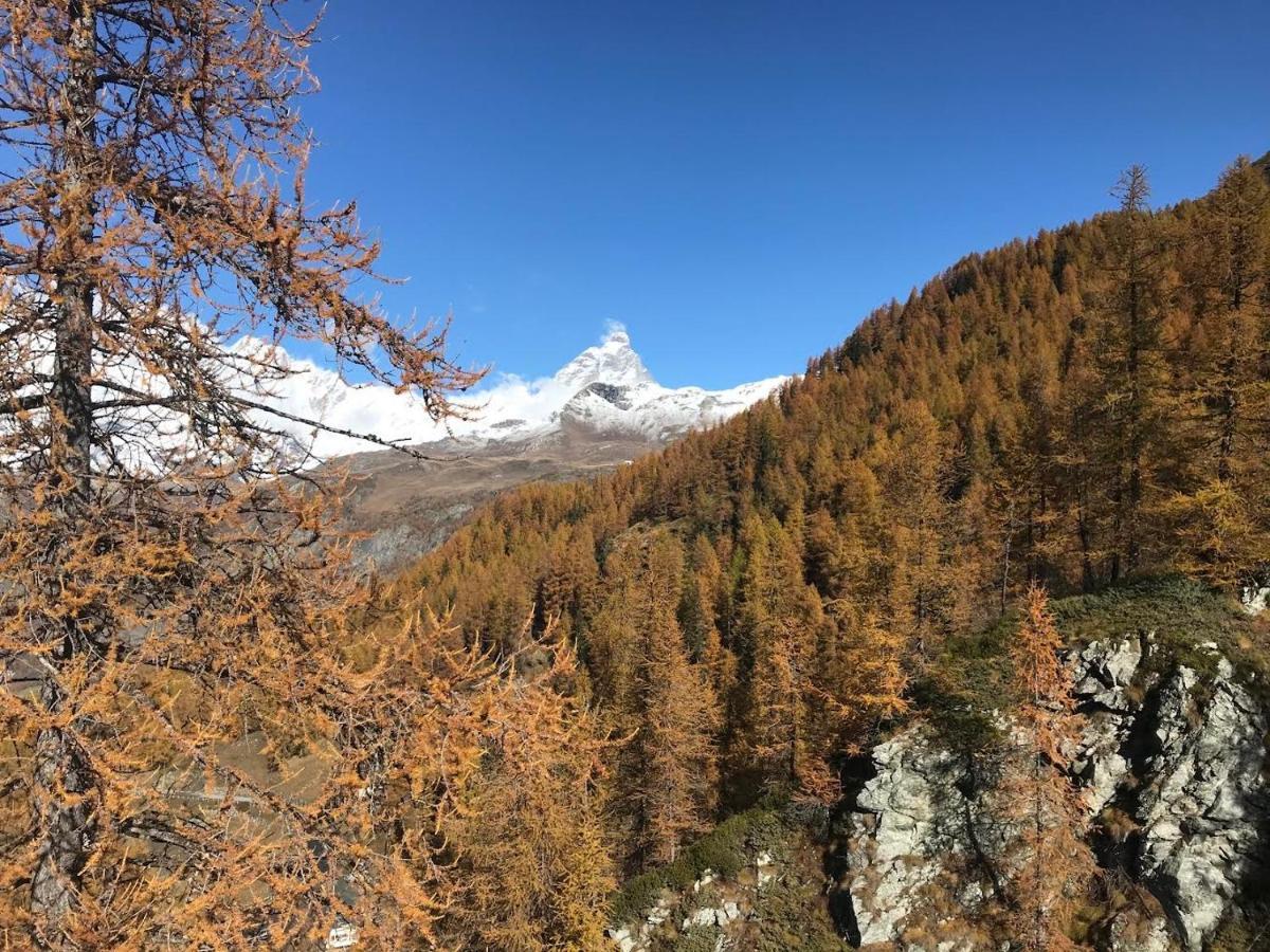 Appartamento Cervinia Fronte Funivie Breuil-Cervinia Ngoại thất bức ảnh